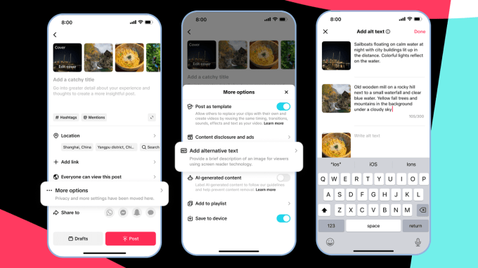 Interface showing TikTok accessibility options