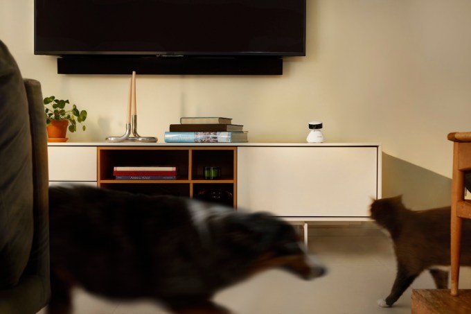 Petlibro Scout Smart Camera