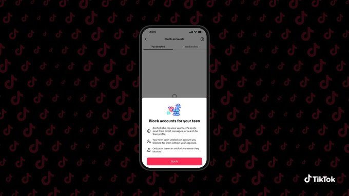 TikTok app interface
