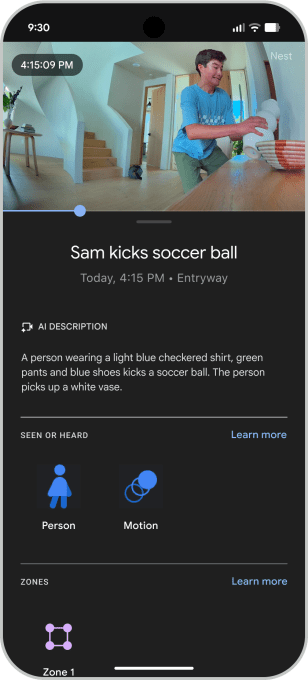 Gemini AI description interface