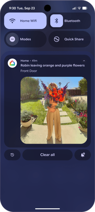 Animated notification previews