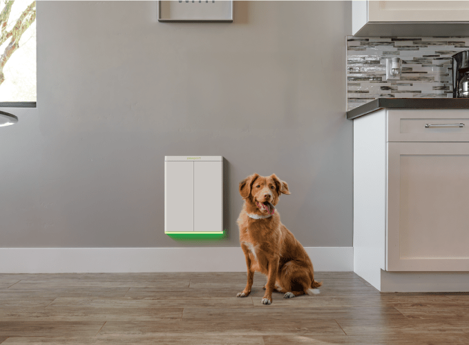 Pawport Smart Pet Door