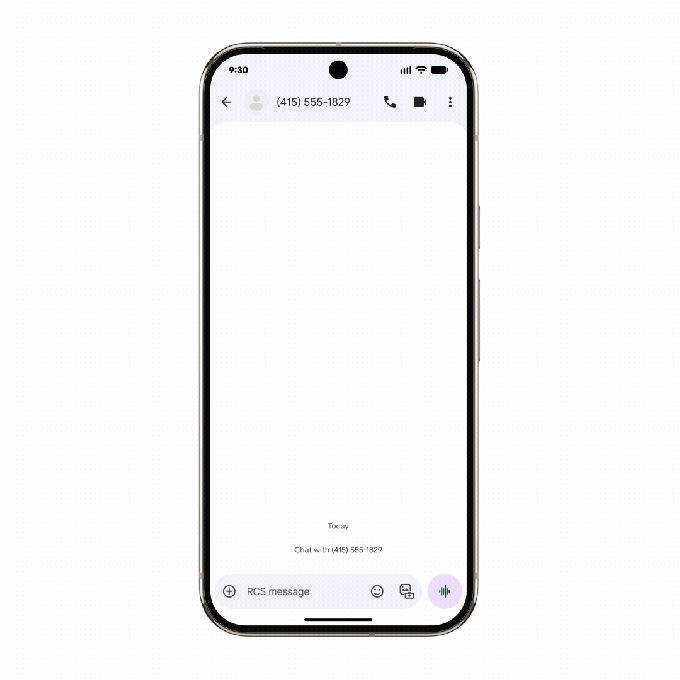 Gemini scam detection notification