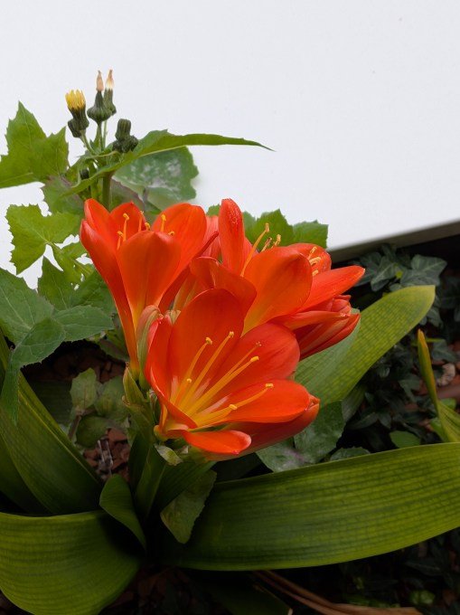 Sample photo 2